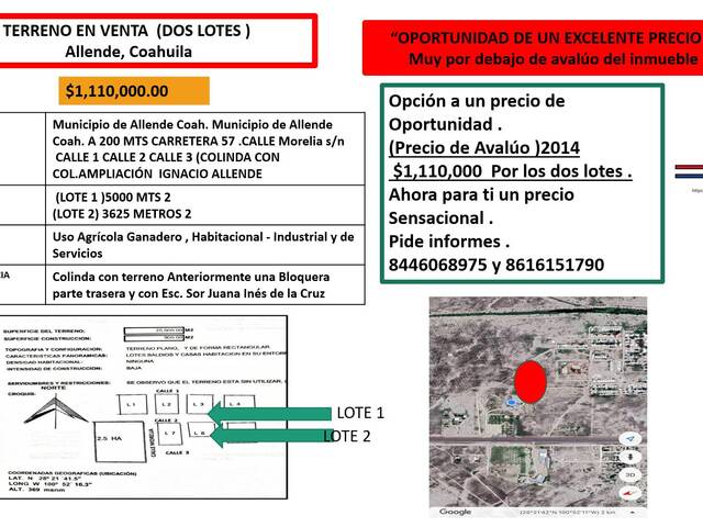 Venta en AMPLIACIÓN ALLENDE - Allende