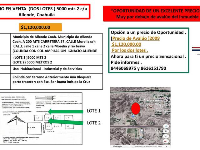 #190 - Terreno para Venta en Allende - CH - 2