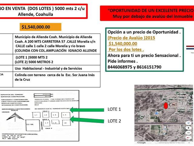 #191 - Terreno para Venta en Allende - CH - 2