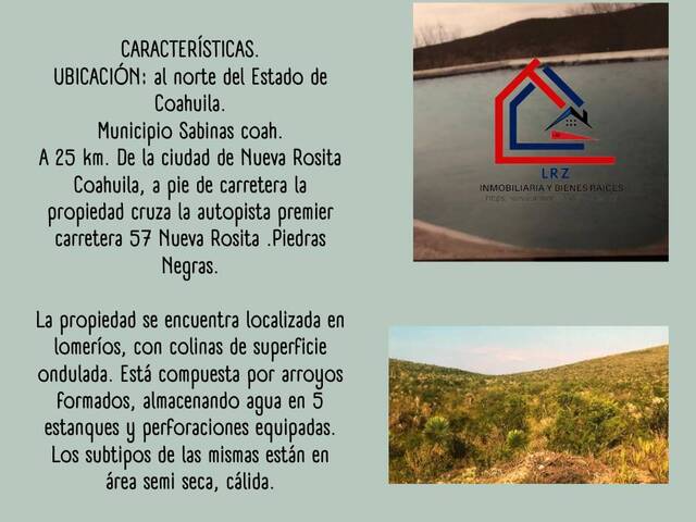 #237 - Ranchos ,Granjas y Fincas para Venta en Sabinas - CH - 2