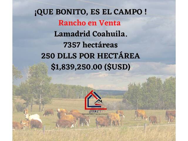 #74 - Ranchos ,Granjas y Fincas para Venta en Lamadrid - CH - 1