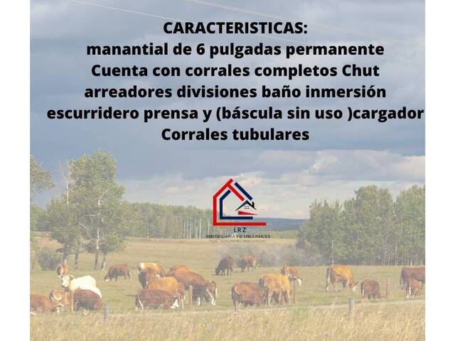 #74 - Ranchos ,Granjas y Fincas para Venta en Lamadrid - CH - 2