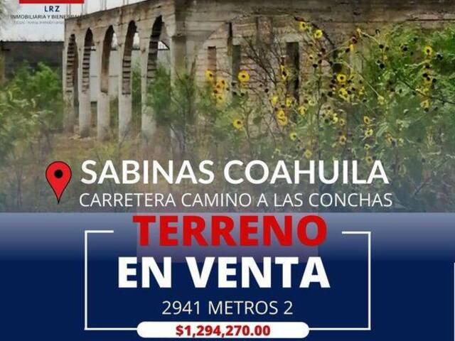 Venta en CARRETERA LAS CONCHAS - Sabinas