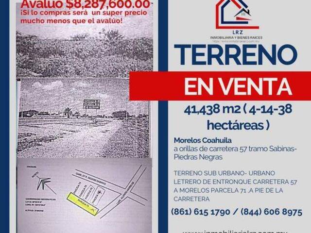 #195 - Terreno para Venta en Allende - CH - 1