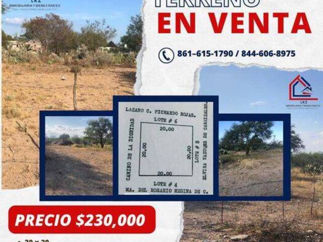 #88 - Terreno para Venta en San Juan de Sabinas - CH - 1