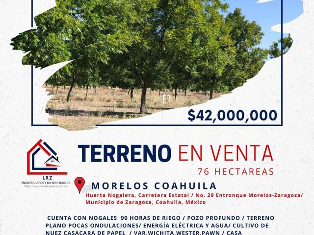 #209 - Ranchos ,Granjas y Fincas para Venta en Allende - CH - 1