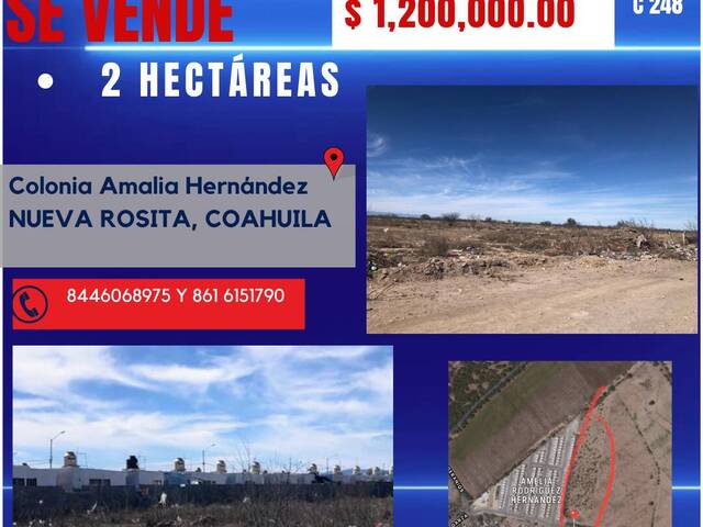 #248 - Terreno para Venta en San Juan de Sabinas - CH - 1