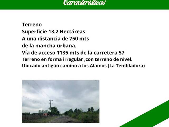 #258 - Ranchos ,Granjas y Fincas para Venta en Allende - CH - 2