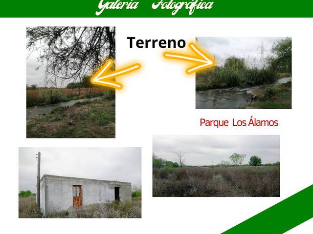 #258 - Ranchos ,Granjas y Fincas para Venta en Allende - CH - 3